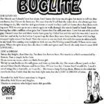 Bouncing Souls / Buglite Split
