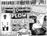 Grieving Eucalyptus + Plow United + Walter Krug at Kuhn's Grove